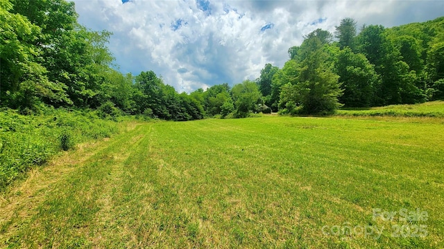 5595 Meadow Fork Rd, Hot Springs, NC 28743 - photo 4
