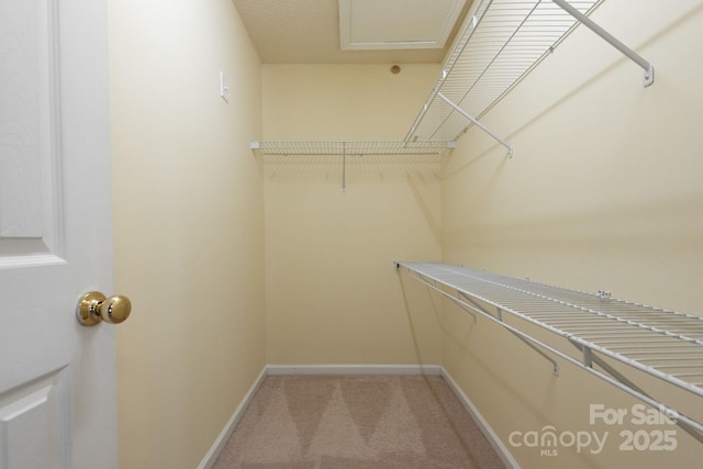 10613 Prairie Ridge Ln, Charlotte, NC 28213 - spacious closet with light carpet