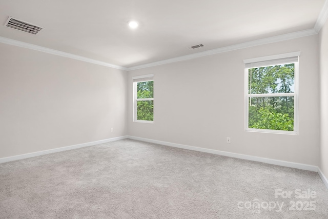 3506 Auburn Curb Rd, Charlotte, NC 28217 - photo 12