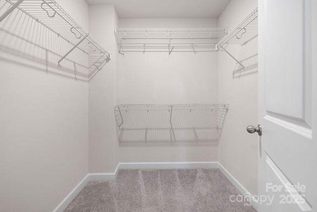 3506 Auburn Curb Rd, Charlotte, NC 28217 - photo 15