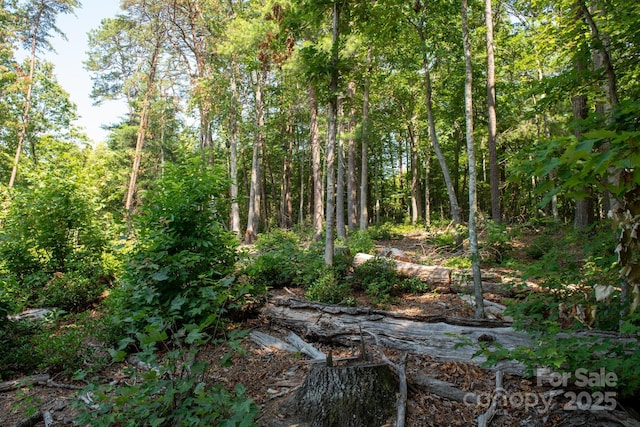 2091 Blowing Rock Blvd, Lenoir, NC 28645 - photo 44