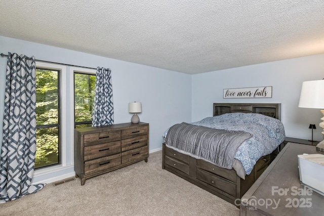 107 Cedar Forest Trl Unit 107, Asheville, NC 28803 - bedroom with carpet and a textured ceiling