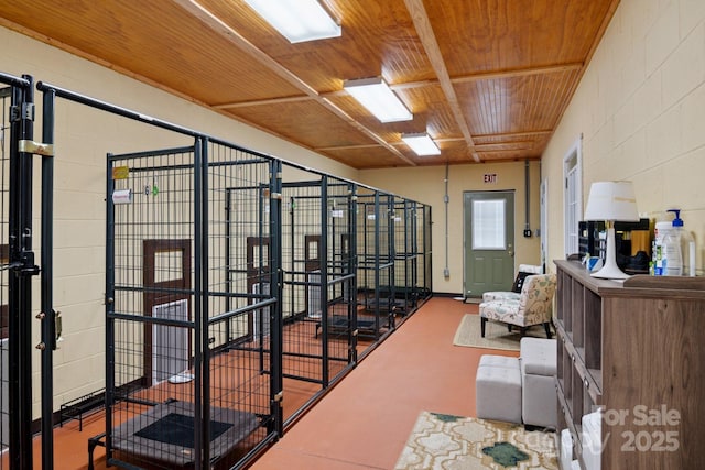 585 Clearwater Lake Rd, Kershaw, SC 29067 - view of stable