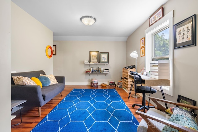12 Buckshot Ridge Dr, Asheville, NC 28804 - office space with wood finished floors