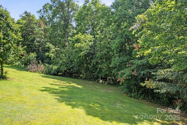 12 Buckshot Ridge Dr, Asheville, NC 28804 - view of grassy yard with a forest view