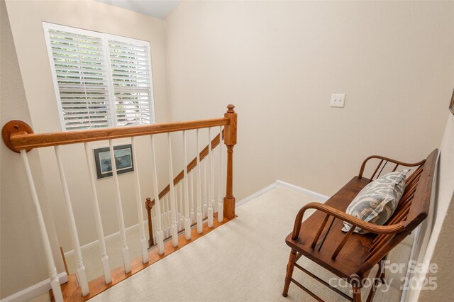 10960 Princeton Village Dr, Charlotte, NC 28277 - photo 17