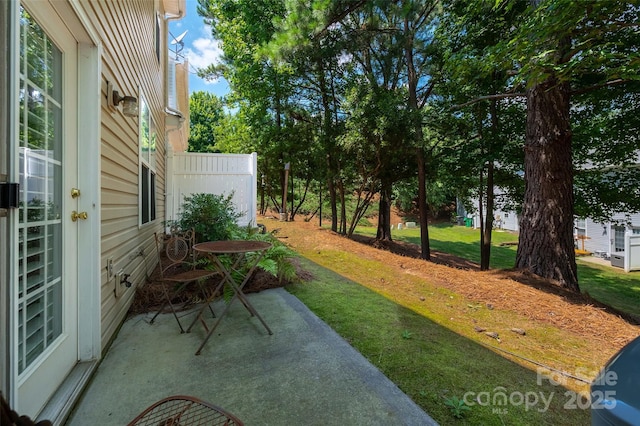 10960 Princeton Village Dr, Charlotte, NC 28277 - photo 25