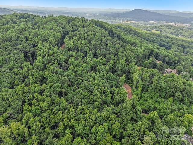 TBD Fiver Lane, Hendersonville, NC 28792 - photo 1