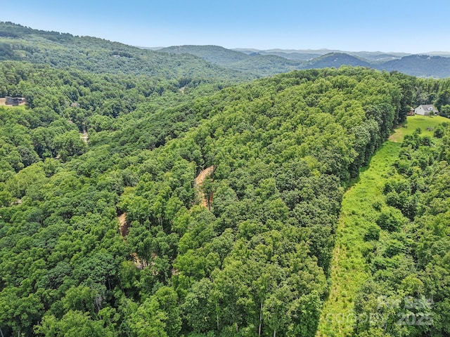 TBD Fiver Lane, Hendersonville, NC 28792 - photo 2