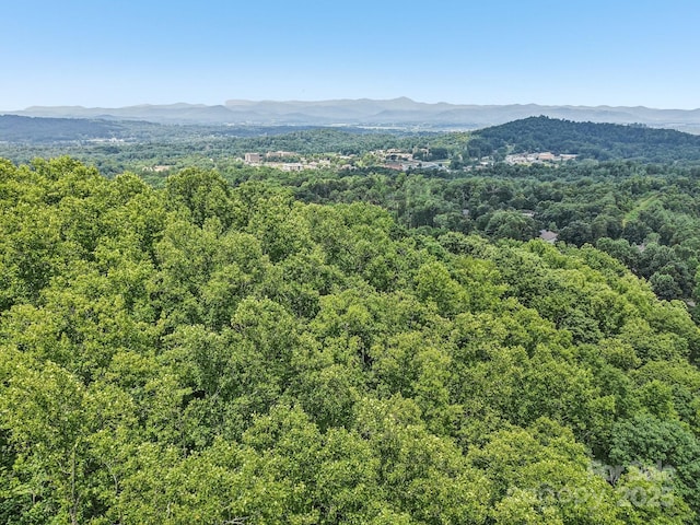 TBD Fiver Lane, Hendersonville, NC 28792 - photo 3