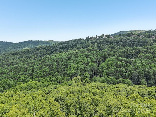 TBD Fiver Lane, Hendersonville, NC 28792 - photo 4