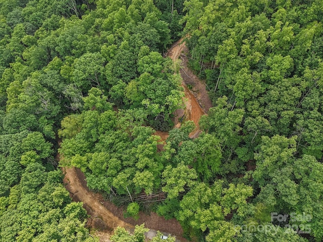 TBD Fiver Lane, Hendersonville, NC 28792 - photo 6