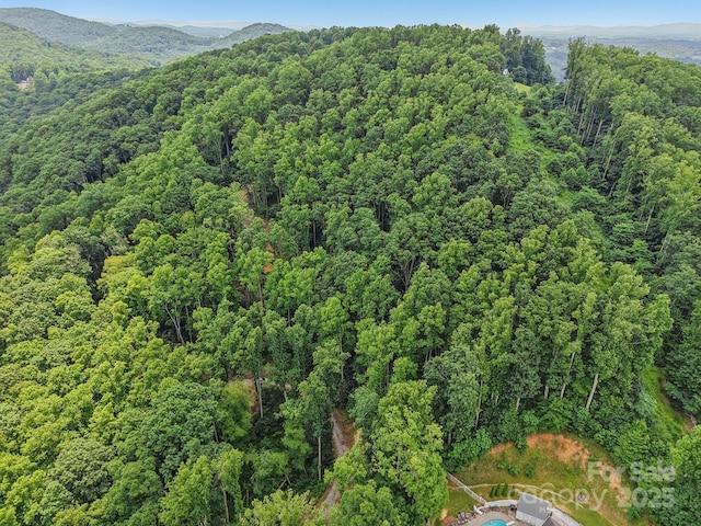 TBD Fiver Lane, Hendersonville, NC 28792 - photo 8