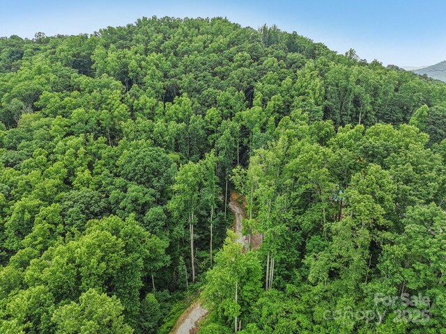 TBD Fiver Lane, Hendersonville, NC 28792 - photo 9