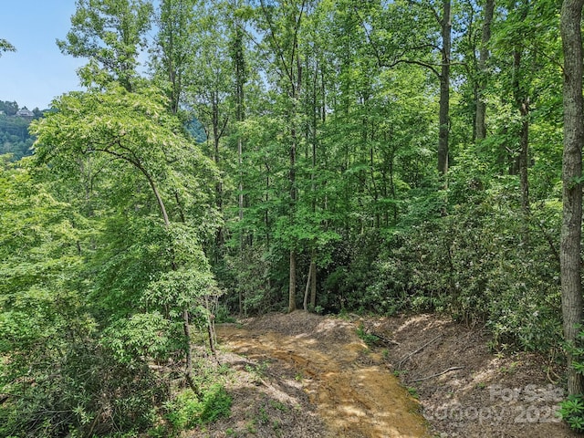TBD Fiver Lane, Hendersonville, NC 28792 - photo 11