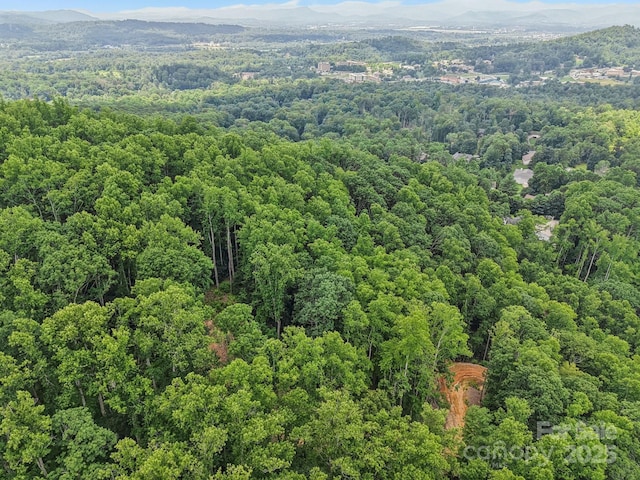 TBD Fiver Lane, Hendersonville, NC 28792 - photo 12