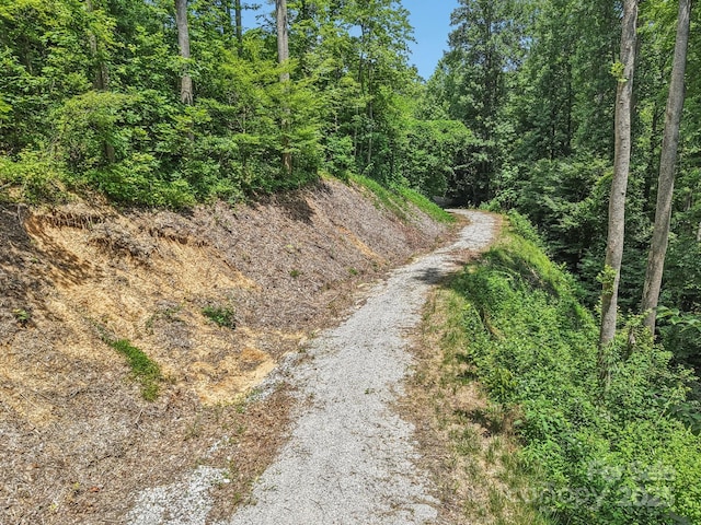 TBD Fiver Lane, Hendersonville, NC 28792 - photo 14