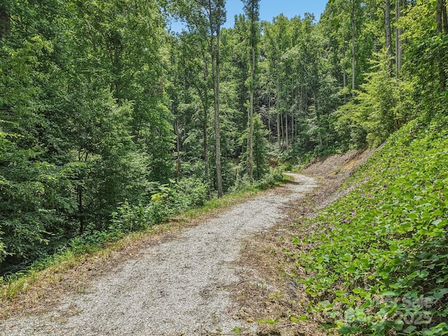 TBD Fiver Lane, Hendersonville, NC 28792 - photo 15