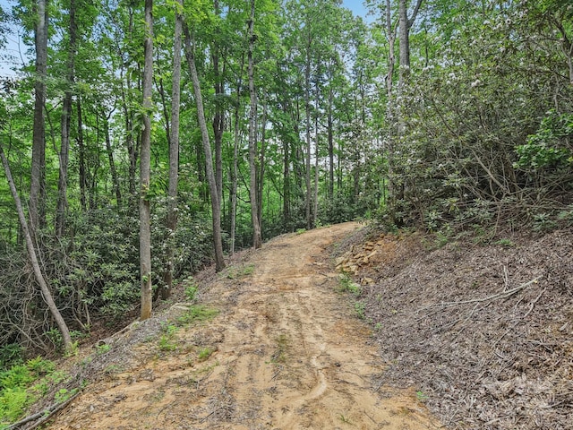TBD Fiver Lane, Hendersonville, NC 28792 - photo 16