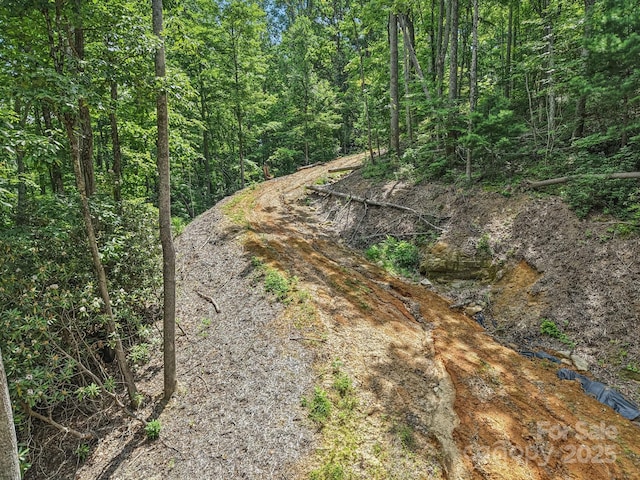 TBD Fiver Lane, Hendersonville, NC 28792 - photo 18