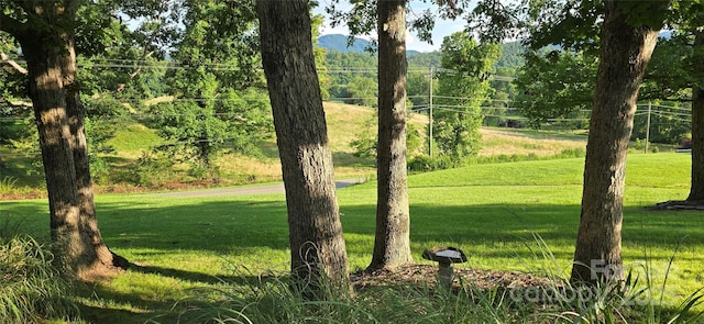 414 Pine Cove Rd, Old Fort, NC 28762 - view of grassy yard featuring a mountain view
