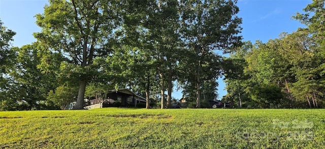 414 Pine Cove Rd, Old Fort, NC 28762 - view of yard