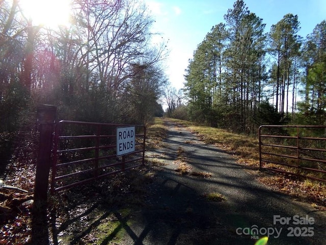 104AC Cedarhurst Rd, Chester, SC 29706 - photo 3