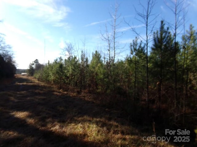 104AC Cedarhurst Rd, Chester, SC 29706 - photo 6