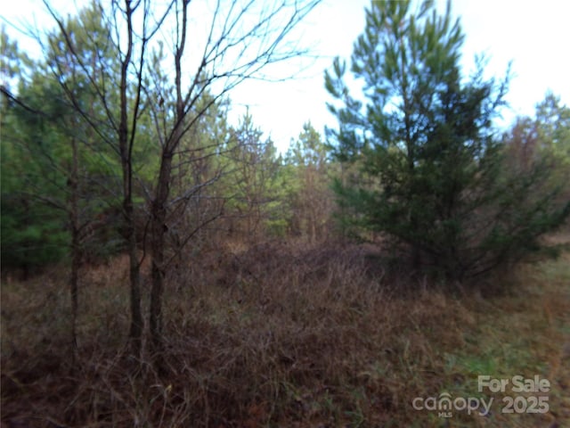 104AC Cedarhurst Rd, Chester, SC 29706 - photo 12