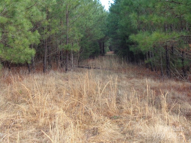 104AC Cedarhurst Rd, Chester, SC 29706 - photo 14