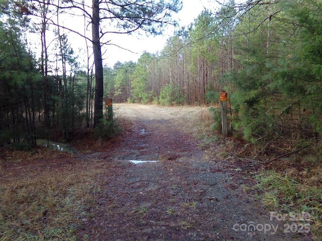 104AC Cedarhurst Rd, Chester, SC 29706 - photo 15