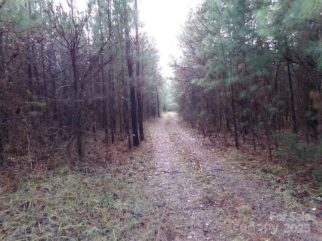 104AC Cedarhurst Rd, Chester, SC 29706 - photo 16