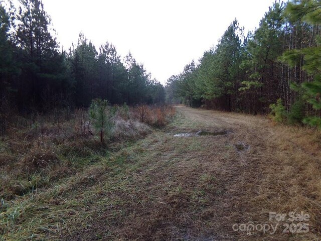104AC Cedarhurst Rd, Chester, SC 29706 - photo 17