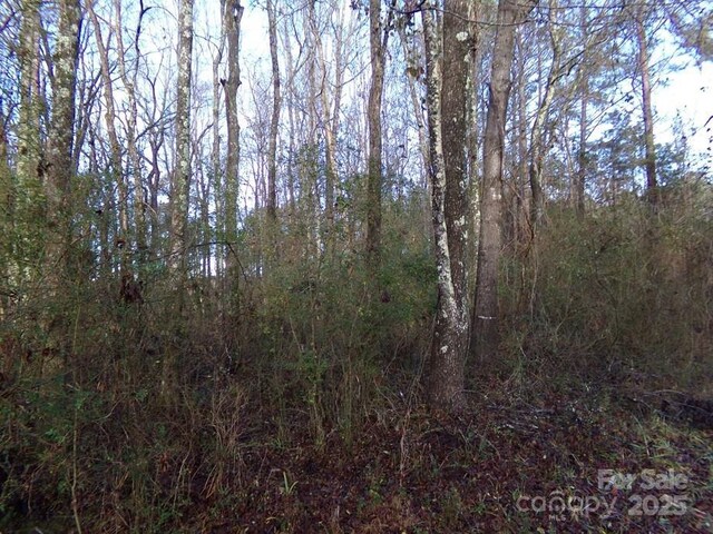 104AC Cedarhurst Rd, Chester, SC 29706 - photo 18