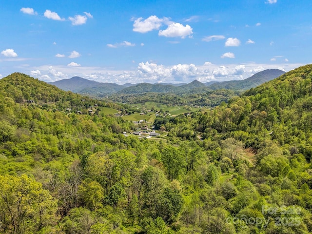 00 Shetley Rd, Waynesville, NC 28785 - photo 1