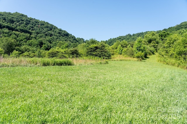 00 Shetley Rd, Waynesville, NC 28785 - photo 3