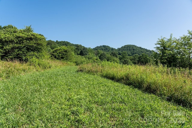 00 Shetley Rd, Waynesville, NC 28785 - photo 4