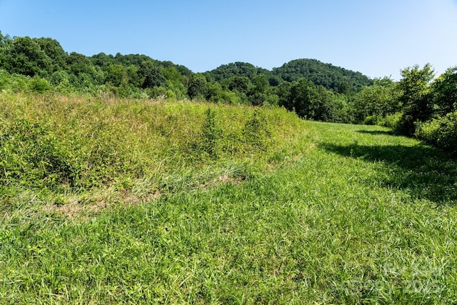 00 Shetley Rd, Waynesville, NC 28785 - photo 5
