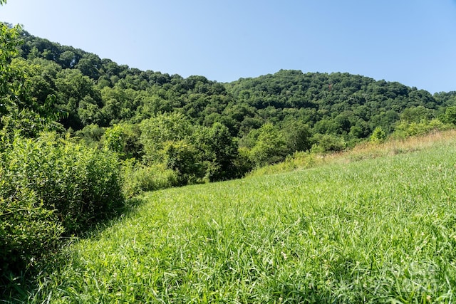 00 Shetley Rd, Waynesville, NC 28785 - photo 6