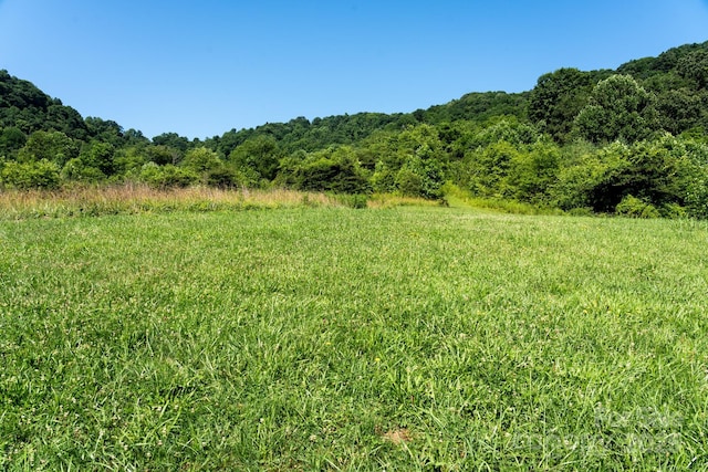00 Shetley Rd, Waynesville, NC 28785 - photo 7