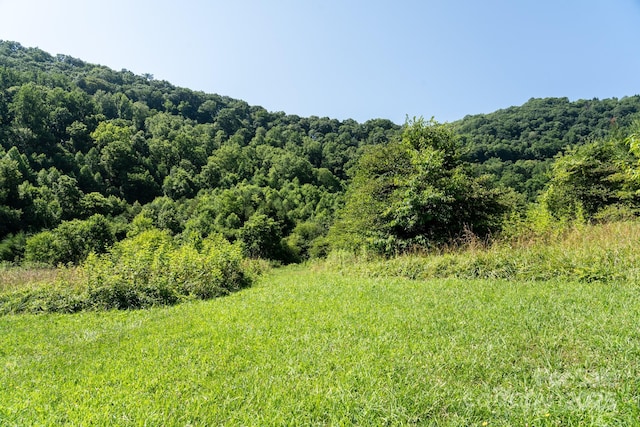 00 Shetley Rd, Waynesville, NC 28785 - photo 8