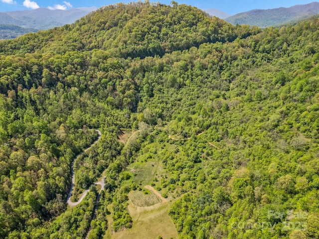 00 Shetley Rd, Waynesville, NC 28785 - photo 11