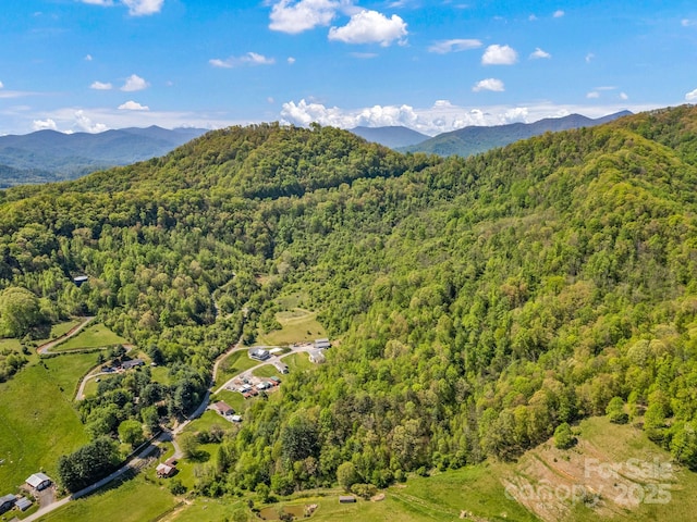 00 Shetley Rd, Waynesville, NC 28785 - photo 12