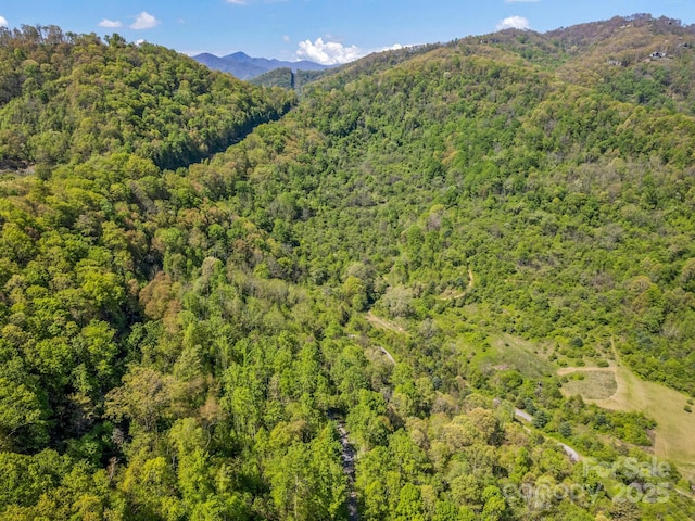 00 Shetley Rd, Waynesville, NC 28785 - photo 13