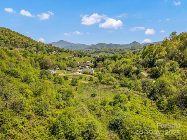 00 Shetley Rd, Waynesville, NC 28785 - photo 14