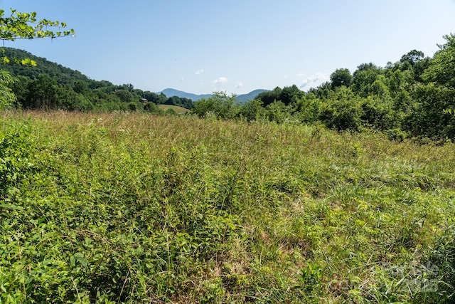 00 Shetley Rd, Waynesville, NC 28785 - photo 15