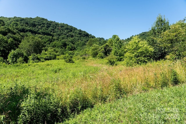 00 Shetley Rd, Waynesville, NC 28785 - photo 17