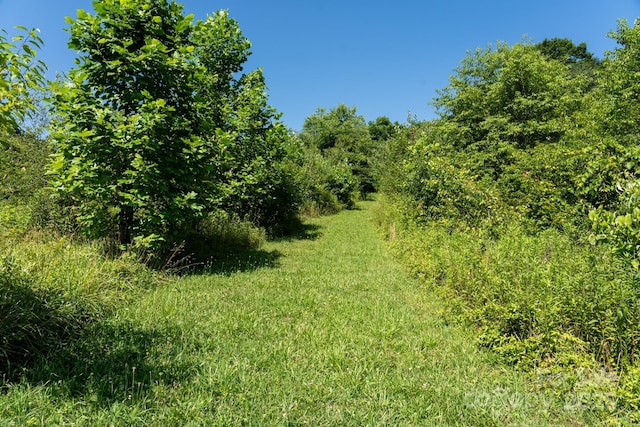 00 Shetley Rd, Waynesville, NC 28785 - photo 18