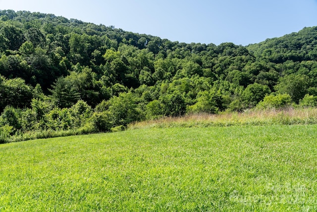 00 Shetley Rd, Waynesville, NC 28785 - photo 19