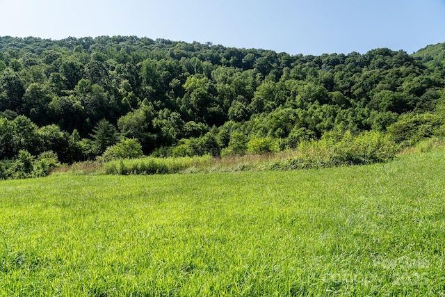 00 Shetley Rd, Waynesville, NC 28785 - photo 21